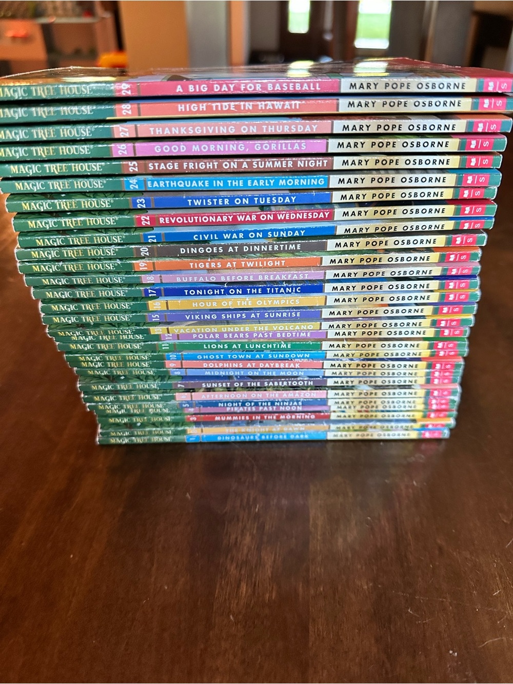 Magic Tree House Book Lot Books 1-29* Mary Pope Osborne Classic Original Cover